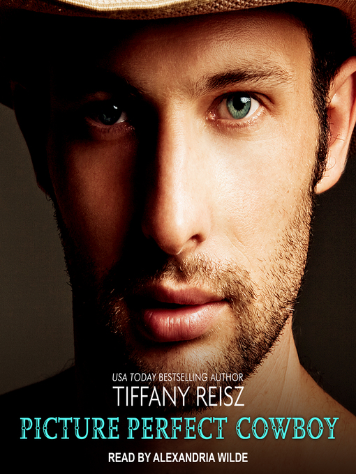 Title details for Picture Perfect Cowboy by Tiffany Reisz - Available